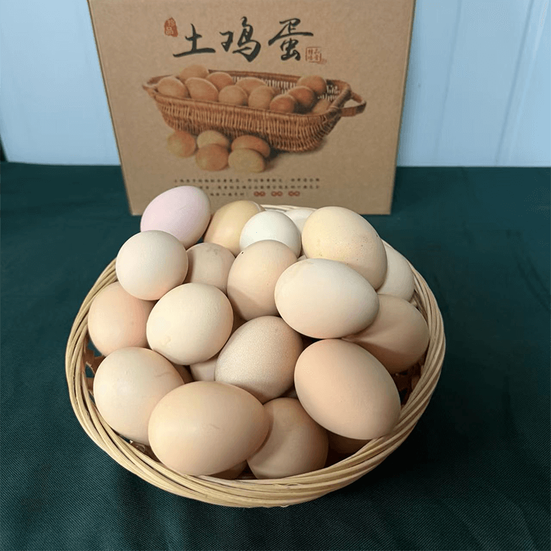阳山土鸡蛋